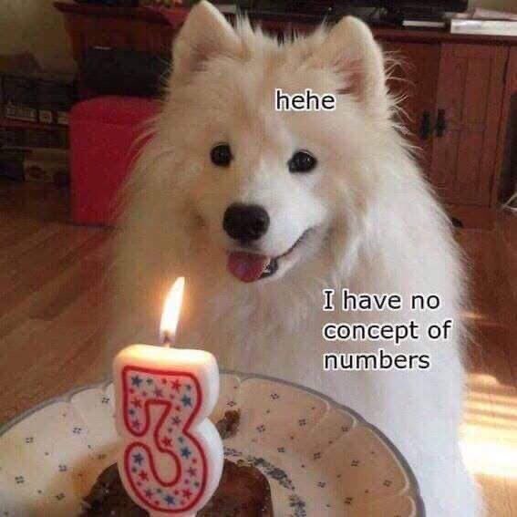 A white Samoyed in front of a cake with a number 3 candle, captioned 'hehe' and 'I have no concept of numbers'.
